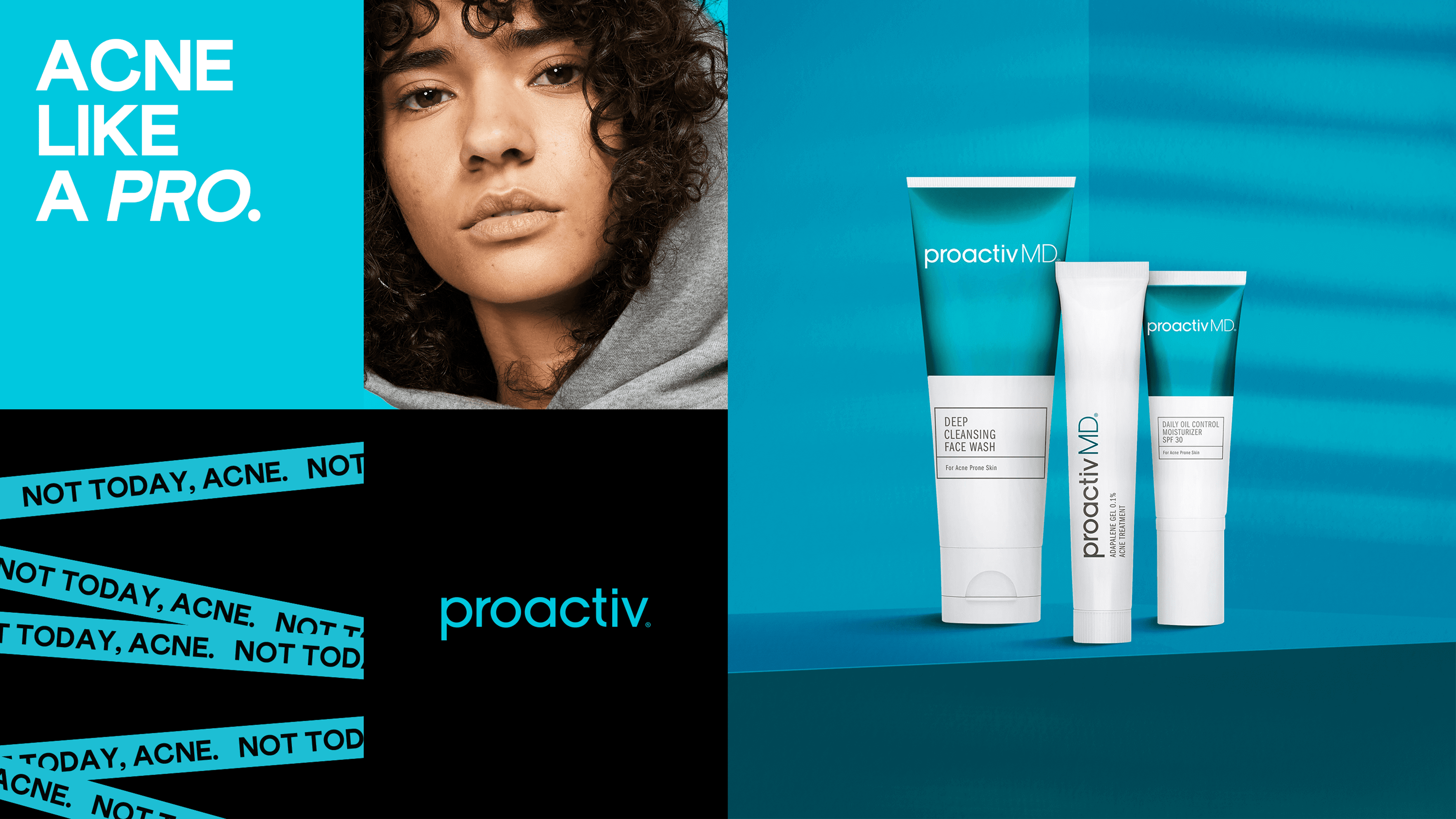 proactiv_Overview